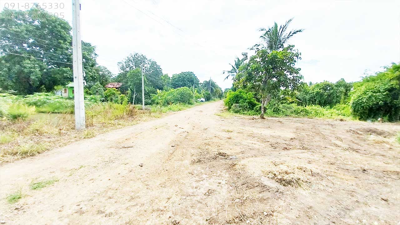 ขายที่ดินคลอง8 บึงบอน ปทุมธานี 133ตรว ถมแล้ว เหมาะปลูกบ้านสวน บรรยากาศดี น้ำไฟครบ ขายราคาถูก